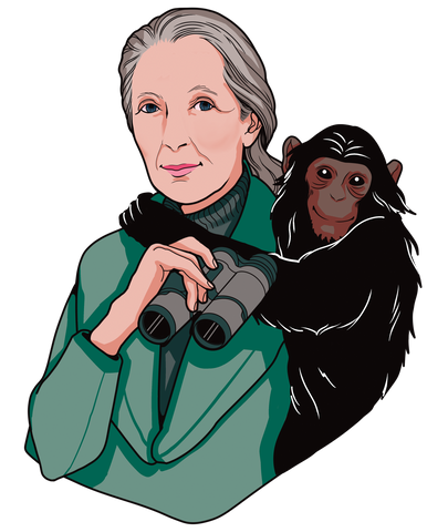 Jane Goodall conservationist